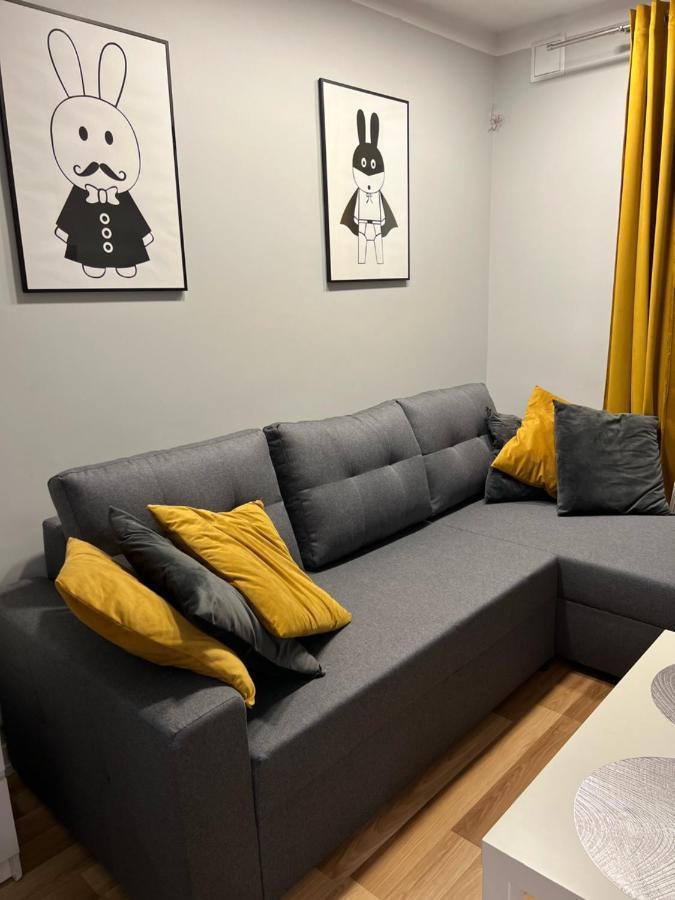 Family & Business Elegant Apartments Rynek Centrum Downtown - 2 Bedroom, Balcony, Parking Kielce Kültér fotó