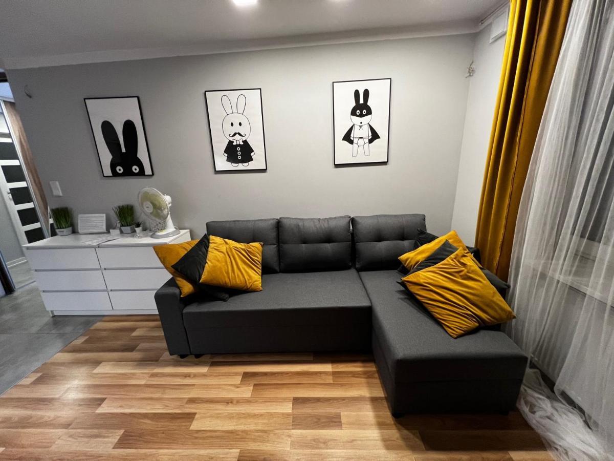 Family & Business Elegant Apartments Rynek Centrum Downtown - 2 Bedroom, Balcony, Parking Kielce Kültér fotó